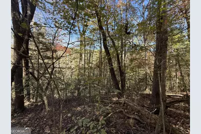 0 Heritage Way, Ellijay, GA 30540 - Photo 7