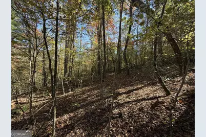 0 Heritage Way, Ellijay, GA 30540 - Photo 9