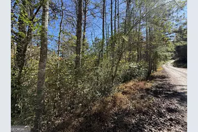 0 Heritage Way, Ellijay, GA 30540 - Photo 21