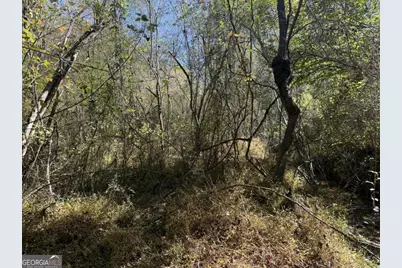 0 Heritage Way, Ellijay, GA 30540 - Photo 15