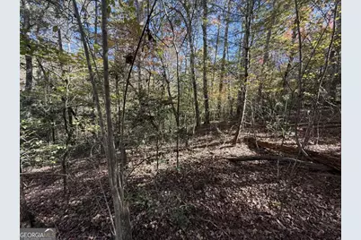 0 Heritage Way, Ellijay, GA 30540 - Photo 27