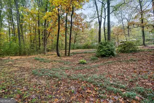 207 Squirrel Ave, Cohutta, GA 30710 - Photo 31