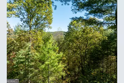 345 Zion Hill Road, Ellijay, GA 30540 - Photo 37