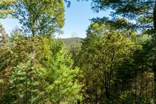 345 Zion Hill Rd, Ellijay, GA 30540 - Photo 37