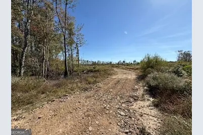 0 Newington Hwy, Sylvania, GA 30467 - Photo 21