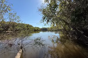 0 Newington Hwy, Sylvania, GA 30467 - Photo 1