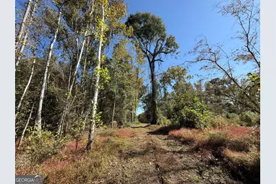 0 Newington Hwy, Sylvania, GA 30467 - Photo 5