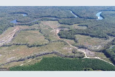 0 Newington Hwy, Sylvania, GA 30467 - Photo 11