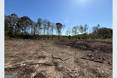 0 Newington Hwy, Sylvania, GA 30467 - Photo 33
