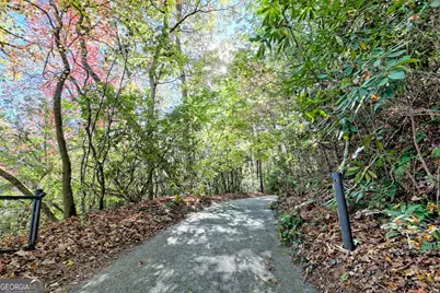 49 Richmond Lane, Lakemont, GA 30552 - Photo 93