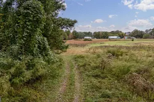 6 Oak Grove Rd, Athens, GA 30607 - Photo 43