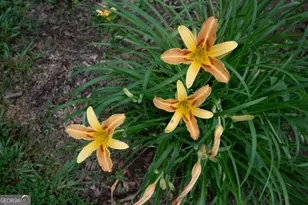 2021 Windfield Dr, Monroe, GA 30655 - Photo 37