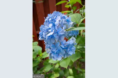 2021 Windfield Drive, Monroe, GA 30655 - Photo 39