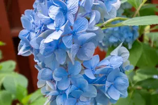 2021 Windfield Dr, Monroe, GA 30655 - Photo 39