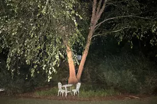 7 High Point Cir, Newnan, GA 30265 - Photo 43