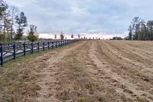 1101 Shockley Rd, Madison, GA 30650 - Photo 79