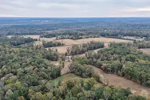 1101 Shockley Rd, Madison, GA 30650 - Photo 67