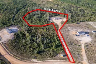 44 Long Leaf Rd, Hazlehurst, GA 31539 - Photo 5