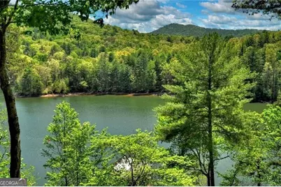 670 Magnolia Drive, Blue Ridge, GA 30513 - Photo 23