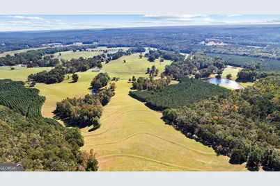 5225 Chalybeate Springs Road, Woodland, GA 31836 - Photo 5