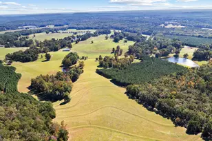 5225 Chalybeate Springs Rd, Woodland, GA 31836 - Photo 5