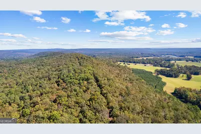 5225 Chalybeate Springs Road, Woodland, GA 31836 - Photo 15