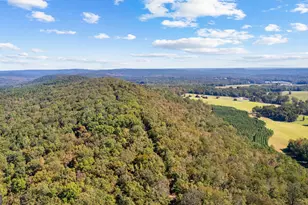 5225 Chalybeate Springs Rd, Woodland, GA 31836 - Photo 15