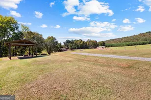 5225 Chalybeate Springs Rd, Woodland, GA 31836 - Photo 175