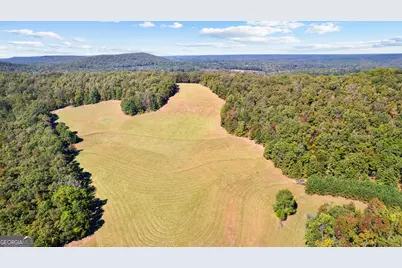 5225 Chalybeate Springs Road, Woodland, GA 31836 - Photo 13