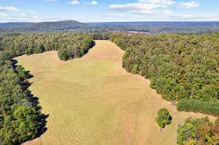 5225 Chalybeate Springs Rd, Woodland, GA 31836 - Photo 13