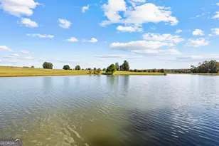 5225 Chalybeate Springs Rd, Woodland, GA 31836 - Photo 143