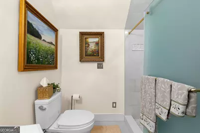 5225 Chalybeate Springs Road, Woodland, GA 31836 - Photo 71