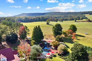 5225 Chalybeate Springs Rd, Woodland, GA 31836 - Photo 33