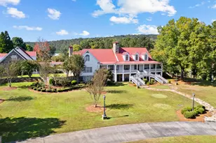 5225 Chalybeate Springs Rd, Woodland, GA 31836 - Photo 21