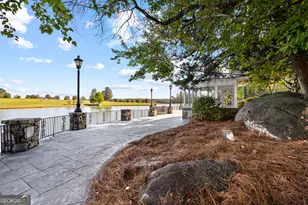 5225 Chalybeate Springs Rd, Woodland, GA 31836 - Photo 147