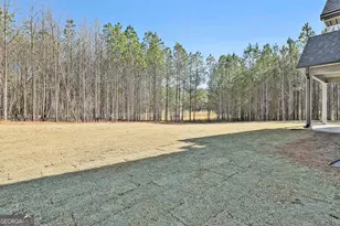 837 Alex Stephens Rd, Moreland, GA 30259 - Photo 47