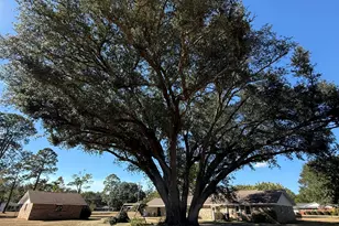 934 Southside Dr, Blakely, GA 39823 - Photo 51