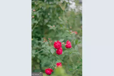 273 Holmesville Avenue, Baxley, GA 31513 - Photo 31