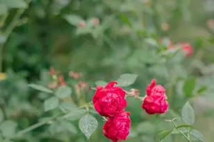 273 Holmesville Ave, Baxley, GA 31513 - Photo 31