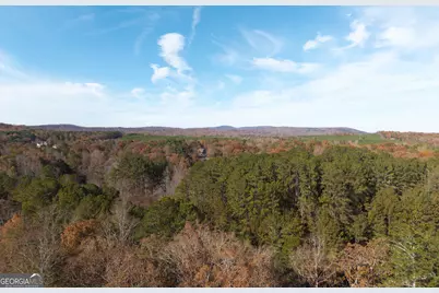 1045 Fincher Road, Canton, GA 30114 - Photo 69