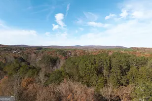 1045 Fincher Rd, Canton, GA 30114 - Photo 69