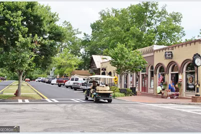 98 Ryeland Drive, Senoia, GA 30276 - Photo 99