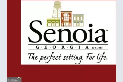 98 Ryeland Drive, Senoia, GA 30276 - Photo 95