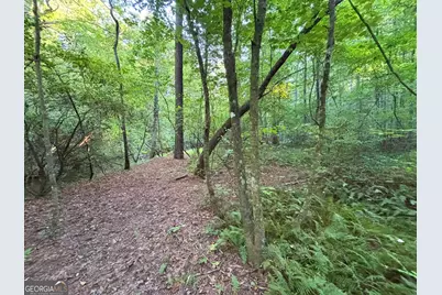 Lot 6 Mt Springer Road, Ellijay, GA 30540 - Photo 23