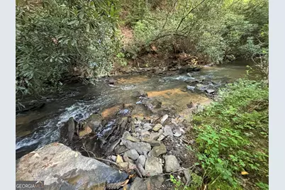 Lot 6 Mt Springer Road, Ellijay, GA 30540 - Photo 17