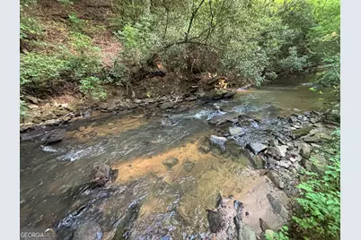 Lot 6 Mt Springer Road, Ellijay, GA 30540 - Photo 19