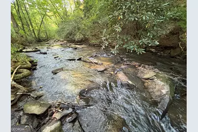 Lot 6 Mt Springer Road, Ellijay, GA 30540 - Photo 7