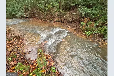 137 Faircloth Drive, Blue Ridge, GA 30513 - Photo 17