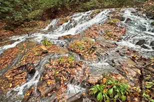 137 Faircloth Dr, Blue Ridge, GA 30513 - Photo 1