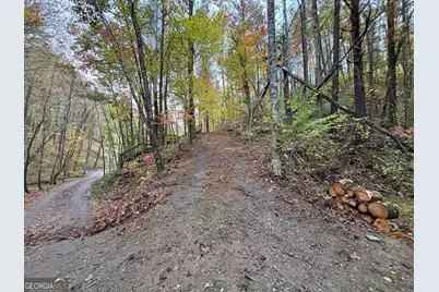 137 Faircloth Drive, Blue Ridge, GA 30513 - Photo 21